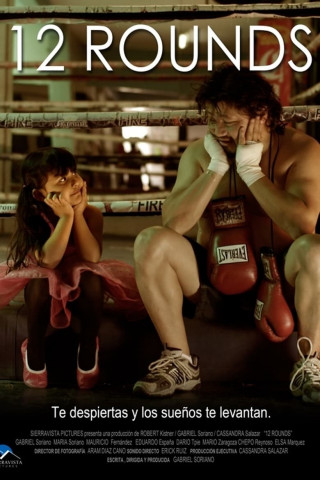 Zwölf Runden 3: Lockdown (2015)