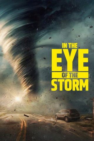 In the Eye of the Storm (2024)
