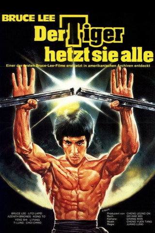 Bruce Lee - Der Tiger hetzt sie alle (1979)
