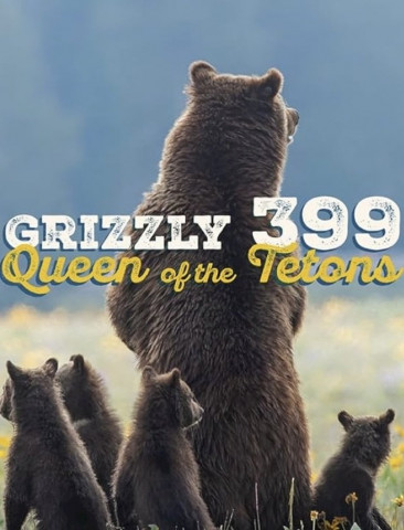 Grizzly 399: Queen of the Tetons (2024)