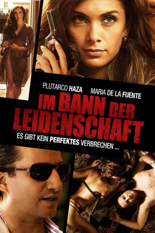 Im Bann der Leidenschaft (2011)