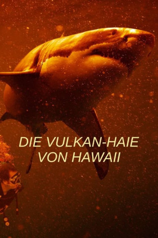 Die Vulkan-Haie von Hawaii (2023)