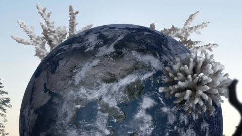 Climate Crisis: Extinction (2022)