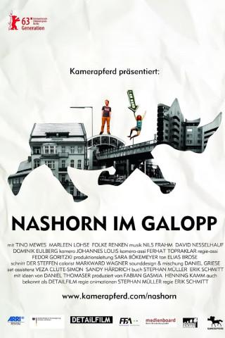 Nashorn im Galopp (2013)
