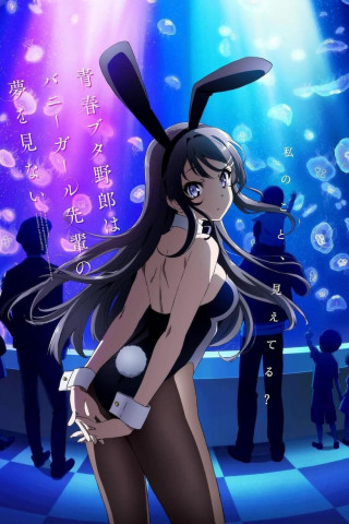 Rascal Does Not Dream of Bunny Girl Senpai (2018)