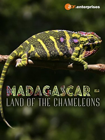 Madagascar: Land of the Chameleons (2012)