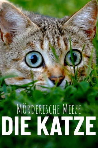 Mörderische Mieze - Die Katze (2019)