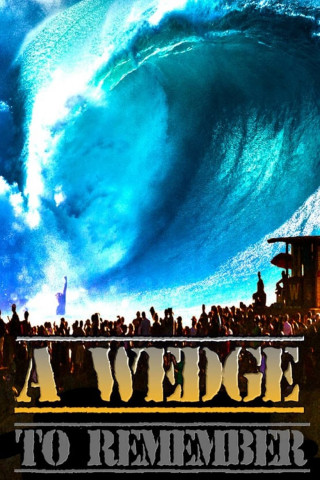 A Wedge to Remember (2014)