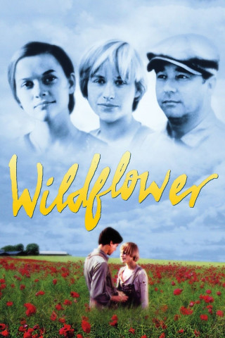 Wilde Sehnsucht (1991)