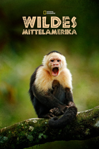 Wildes Mittelamerika (2020)