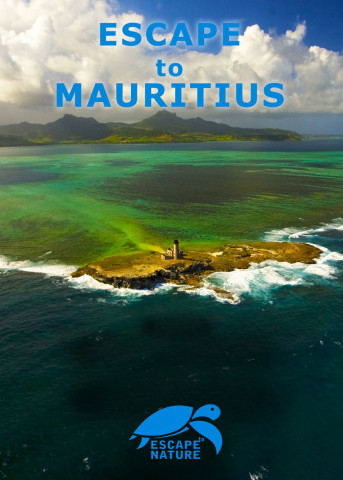 Escape to Mauritius (2009)