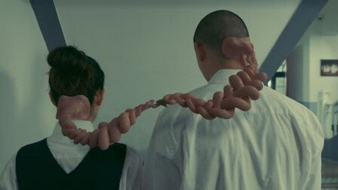 The School Nurse Files (2020)