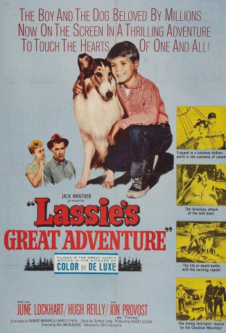 Lassies größtes Abenteuer (1963)