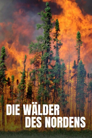 Die Wälder des Nordens (2020)