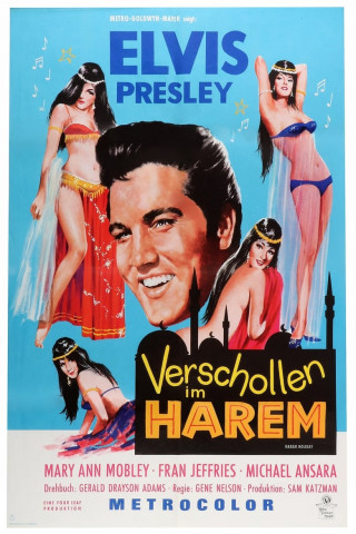 Verschollen im Harem (1965)