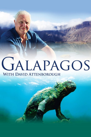 Galapagos 3D (2013)