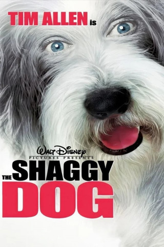 Shaggy Dog − Hör mal wer da bellt