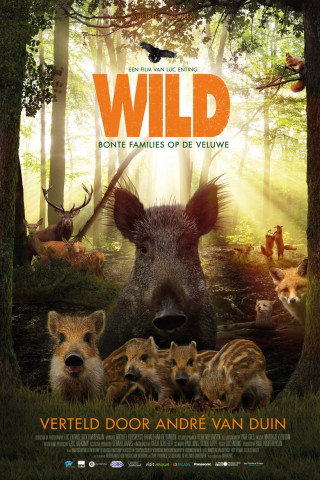 Wild [OV] (2018)