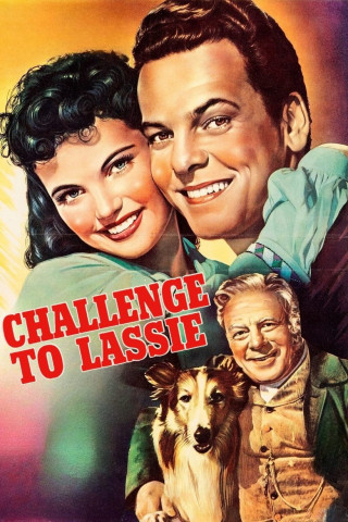 Lassie in Not (1949)