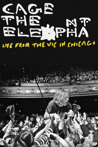 Cage the Elephant: Live from the Vic in Chicago (2012)