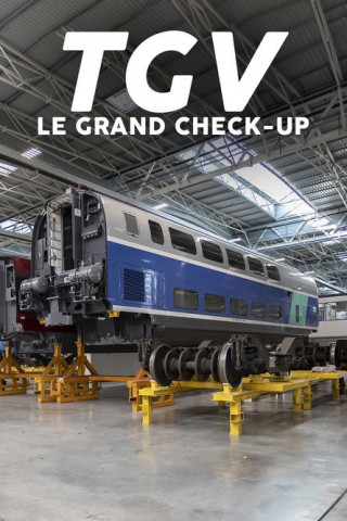 TGV : le grand check up (2022)