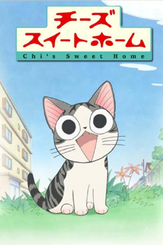 Kleine Katze Chi (2008)