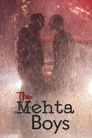 The Mehta Boys (2024)