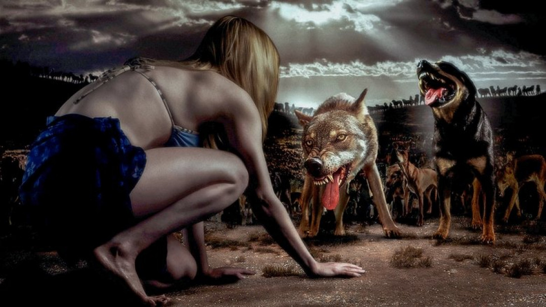 The Breed - Blutige Meute (2006)