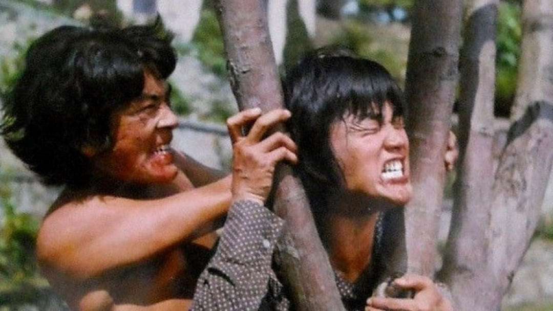 Kendo - Der tödliche Hammer (1974)