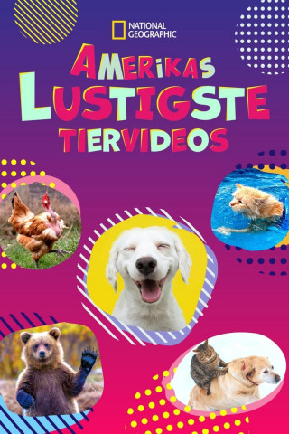 Amerikas lustigste Tiervideos (2021)