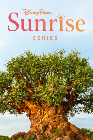 Disney parks sunrise series (2020)
