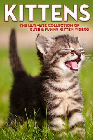 Kittens The Ultimate Collection of Cute & Funny Kitten Videos (2006)
