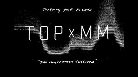 Ziggy Marley: Conscious Party: Live at the Palladium (2002)