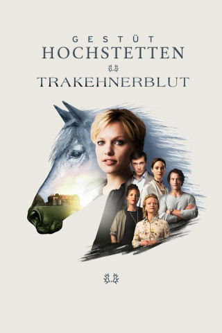 Gestüt Hochstetten (2017)