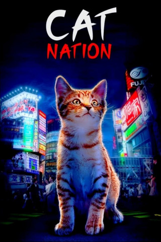 Cat Nation (2017)