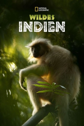 Wildes Indien (2012)