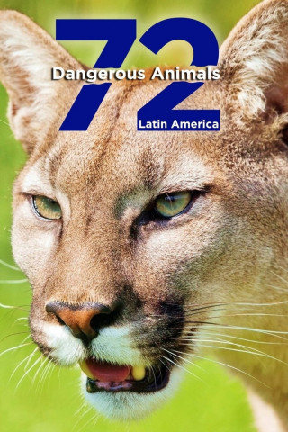 72 Dangerous Animals: Latin America (2017)
