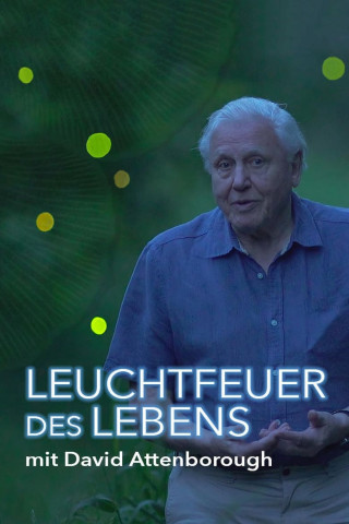 Leuchtfeuer des Lebens (2016)