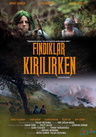 Findiklar Kirilirken (2018)