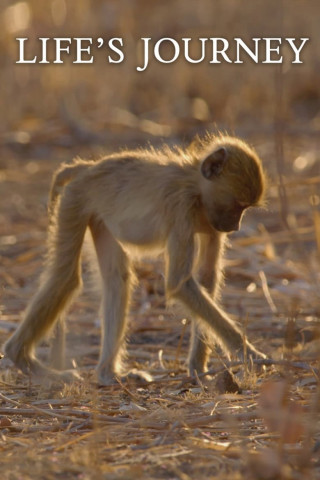 Die Reise eines Lebens (2017)