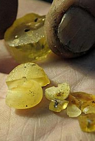 Terra X - Die Bernsteinstraße (2012)