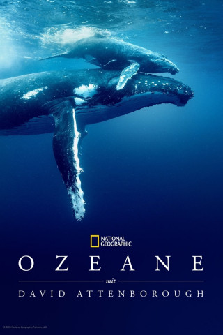 Ozean mit David Attenborough (2025)