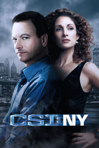 Les experts: Manhattan (2004)