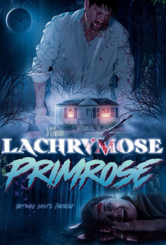 Lachrymose Primrose (2024)