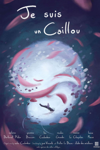 Je suis un caillou (2020)