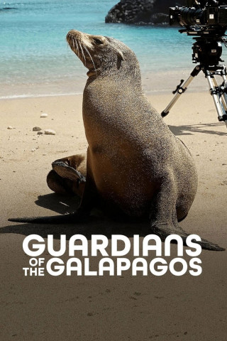 Hinter den Kulissen der Seelöwen auf Galapagos (2025)