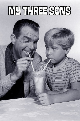 Meine drei Söhne (1960)