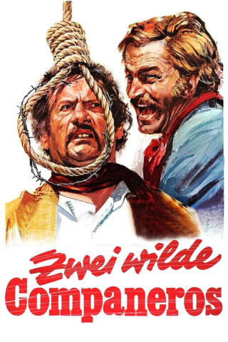 Zwei wilde Companeros (1971)