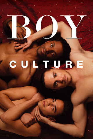 Boy Culture - Sex Pays. Love costs. (2006)