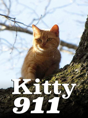 Kitty 911 (2016)